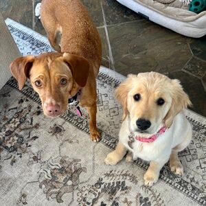 Meet your Posher, Kirsten